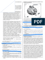 Lectura Critica PDF