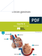 Ctic9 I4 Trocas Gasosas