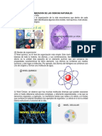 Organizacion de Las Ciencias Naturales