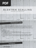 Elektrik Scaling