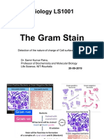 Biology LS 1001 GramStain