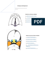 Imágenes Procesos Faciales