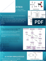 Tema de Exposicion