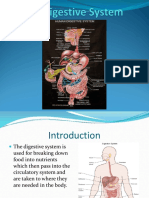 The Digestive System Final 1