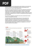 Contaminación Del Suelo