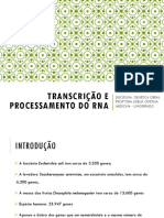 Tema 7 - Transcrição Do Dna - Versão Final PDF