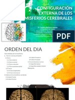 Topografia de Los Hemisferios Cerebrales - PPSX