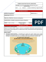 02 - Solucionesamortiguadoras 2 PDF