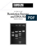 Restriction Enzyme Dna Kit