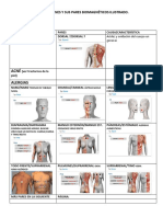 Padecimientos Más Comunes y Sus Pares Biomagnéticos