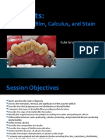 Deposits:: Dental Biofilm, Calculus, and Stain