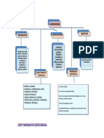 Mapa Conceptual 2