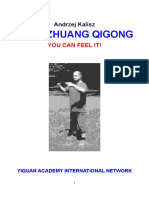 Zhan Zhuang Qigong. You Can Feel It!