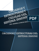 Organos y Celulas Del Sistema Inmune