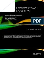 Diapositivas Falsas Expectativas Laborales