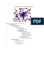 Clasificacinbacteriana 130703203513 Phpapp02 PDF