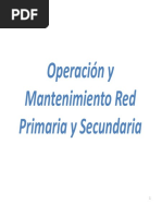 02 Operaciones y Mantenimiento PDF