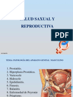 Clase # 3 Patologías Del Aparto Genital Masculino