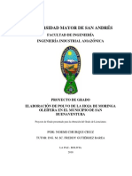 03 Planta Polvo Bolivia PDF