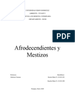 Afrodecendientes y Mestizos