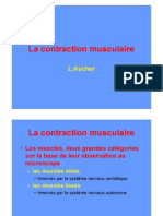 Contraction Musculaire Couleur