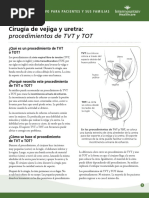 Cirugia de Vejiga y Uretra