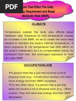 Factors That Affect BMR