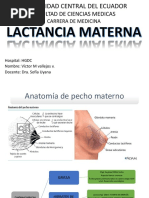 Lactancia Materna