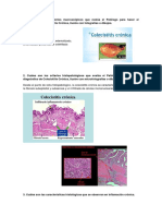 Informe de Laboratorio Colesistitis