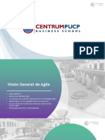 Visión General de Agile