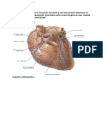 Guía Patocardio 4-12-2019