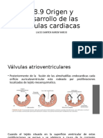 Origen de Las Válvulas