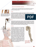 04 El Cuerpo Humano Huesos de Las Extremidades Superiores