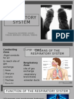 Respiratory System