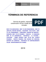 TDR de Un Proyecto de Gestión Vial