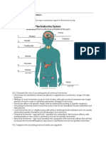 Topic 8 Endocrine System