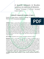 Descripcion Del Desarrollo Embrionario de Bocachico Prochilodus Magdalenae en Condiciones de Laboratorio PDF