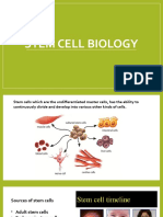 5) Stem Cell