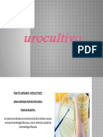 Urocultivo