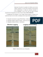 Aperçu Sur Les Diagraphies Différées PDF