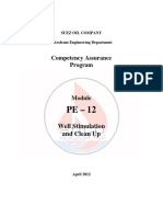 PE-12 Well Stimulation and Clean Up