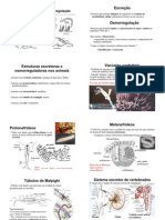 Sistema Excretor e Osmorregulação