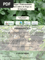 Guia Plagas y Enfermedades de Papa 2018 29-05-2018 PDF