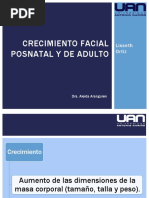 Crecimiento Facial Posnatal y de Adulto