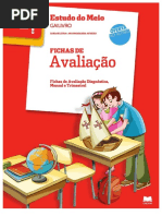 Fichas de Avaliação Estudo Do Meio Gailivro PDF