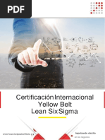 Brochure Yellow Belt - LSSI PDF