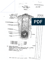 CAPE Biology 2008 (Rest of Region) U1 P2 MS