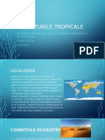 Deserturi Tropicale