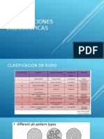 Clasificaciones Endoscopicas Estomago