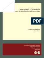 Antropologia y Consultoria - Una Vertiente PDF